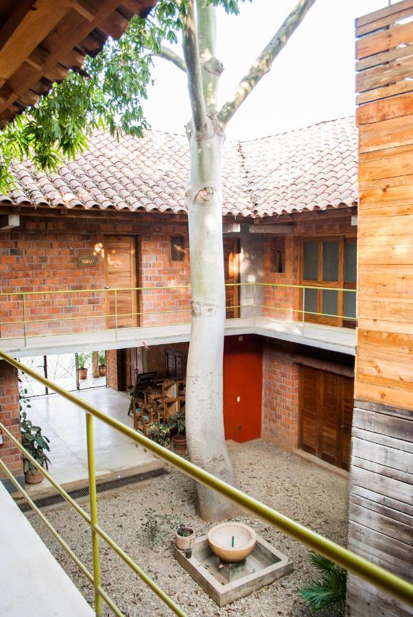 Hotel Pochote Mazunte Exteriér fotografie