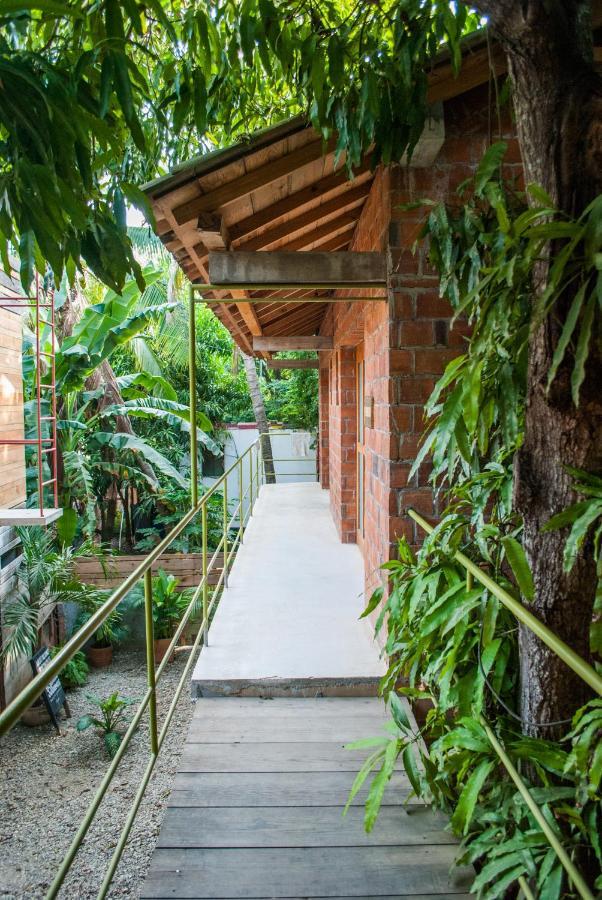 Hotel Pochote Mazunte Exteriér fotografie